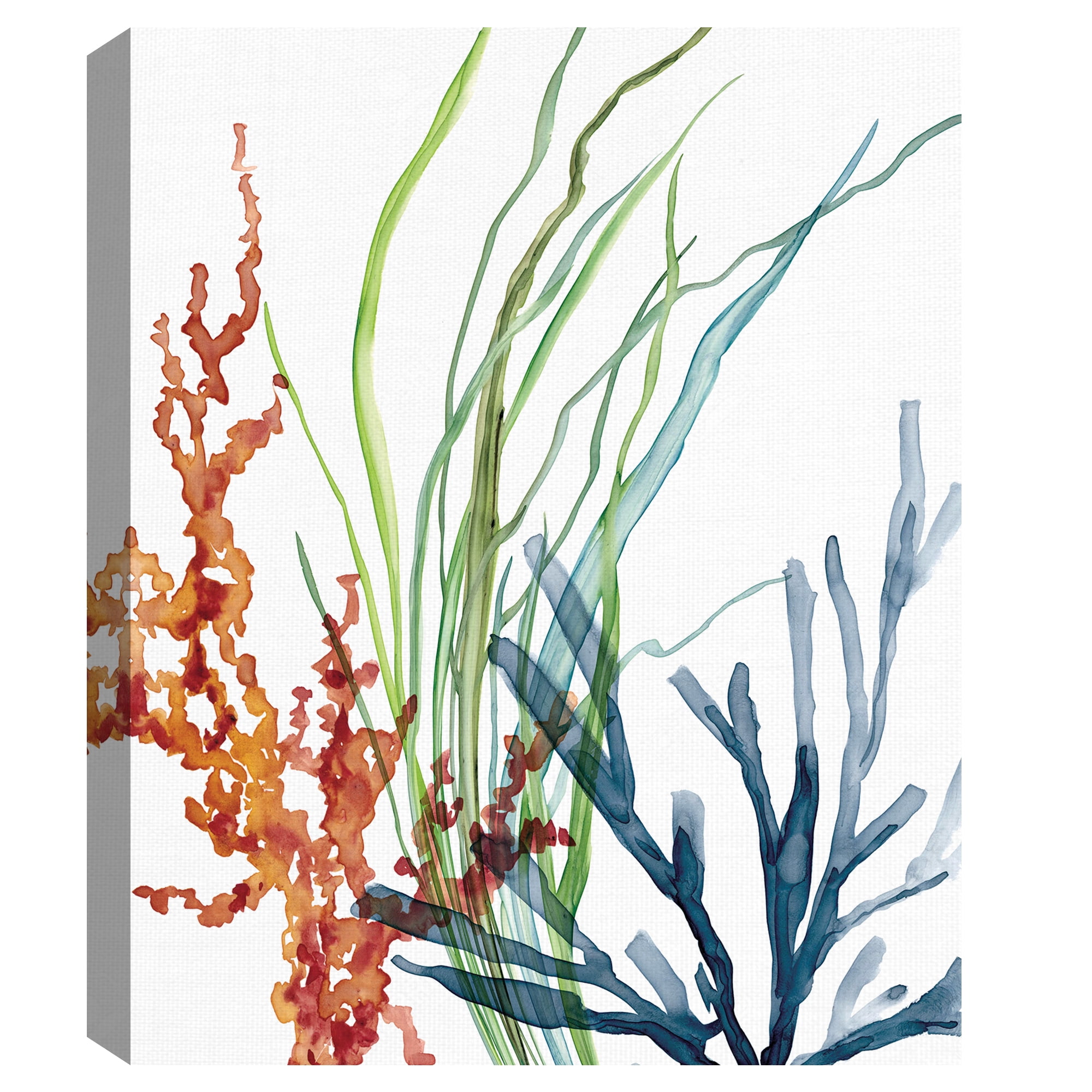 Masterpiece Art Gallery Ocean Magic I Marine Botanical by Carol Robinson Canvas Art Print