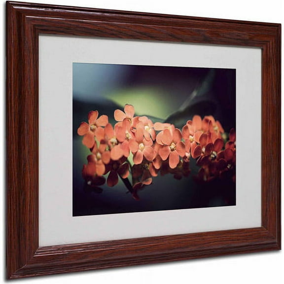 Trademark Fine Art "Flowers Waiting" Canvas Art by Philippe Sainte-Laudy, Wood Frame