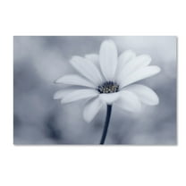 Lotte Gronkj�r 'Blue Tones' Canvas Art