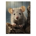 thumbnail image 3 of Designart "Rodent Portrait White Cute wall art II" Animals Print on Natural Pine Wood, 3 of 5