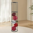 thumbnail image 1 of DYNWAVECA Ball Storage Rack Vertical Ball Rack Freestanding Display Stand Sports Ball Organizer Ball Storage Holder for Home Gyms Rooms Black 3 Layers, 1 of 10