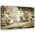 thumbnail image 1 of Alan Hausenflock 18x15 Gallery Wrapped Canvas Wall Art Titled - Sunlit Meadows I, 1 of 4