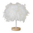 thumbnail image 1 of TISHITA Modern Feather Table Lamp Desk Light Romantic for Wedding Dorm Study Room White, 1 of 5