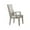 Fabric (Gainsboro) • (Floral White Anti NC Wood Stain), variant on ACME Rocky Arm Chair (Set-2), Fabric & Gray Oak