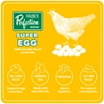 thumbnail image 4 of Kruse's Perfection Brand Super Egg Poultry Feed 40 lb Pellet with Yucca for Laying Hens, 4 of 5