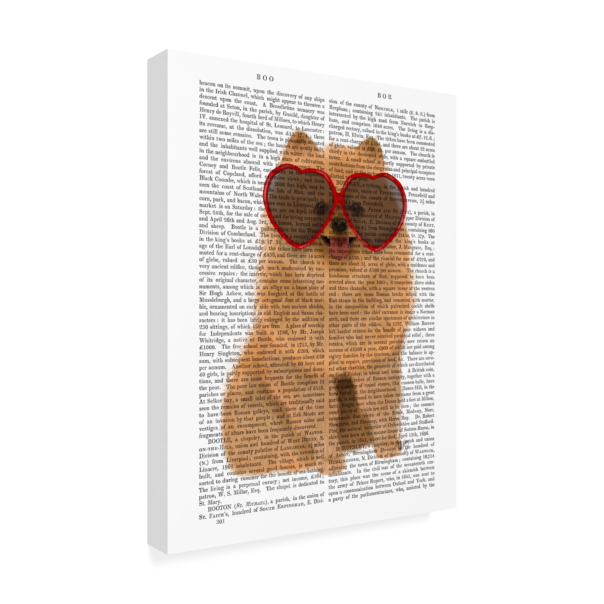 Trademark Fine Art 'Pomeranian and Heart Glasses' Canvas Art by Fab Funky