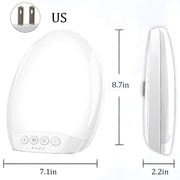 Daylight Therapy Lamp, UV-Free Touch Control Light with Rotatable Stand & Timer Function, Portable Full Spectrum LED Light for Seasonal Blues