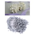 thumbnail image 3 of Estambre de flores de doble cabeza Sunnimix 1800 Unids 3 mm gris, 3 of 8