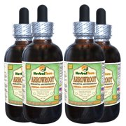 Arrowroot (Maranta Arundinacea) Glycerite, Dried Root Alcohol-FREE Liquid Extract (Herbal Terra, USA) 4x4 oz