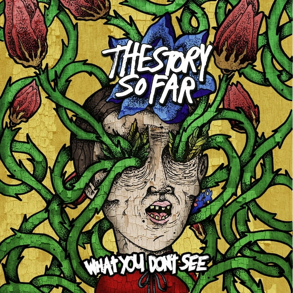 The Story So Far - What You Don't See - Music & Performance - Vinyl