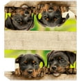 thumbnail image 3 of VWAQ Puppy Dog Mailbox Covers Magnetic Cute Animal Decor - 25.5"H X 20.75"W MBM43, 3 of 4