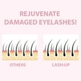 thumbnail image 4 of Lash Up Quick Premium Eyebrow Lamination and Eyelash Lift Step 1 and Step 2 tube set 20ml, 4 of 6