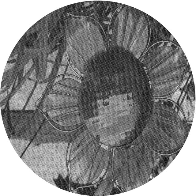 Ahgly Company Tapis d'Intérieur Ronds de Style Transitionnel Lavables à la Machine, Iridium Noir, 4 Pieds Rond
