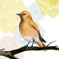 thumbnail image 3 of Popp, Grace 20x20 Black Modern Framed Museum Art Print Titled - Mandala Bird II, 3 of 5