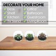 thumbnail image 3 of 3pcs artificial succulent glass potted plants creative small ornaments simulation plant bonsai, 3 of 5
