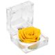 thumbnail image 1 of FELTECHELECTR 1 rosa eterna preservada, nunca marchita, regalo para San Valentín, cumpleaños y aniversario con caja de regalo (amarilla)., 1 of 4