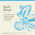 thumbnail image 3 of Bach Original Flower Remedies, Beech - 20 mL Dropper, 3 of 6