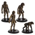 thumbnail image 3 of 4pcs Cognitive Toys Human Evolution Models Ape Evolution Model Teaching Tool Layout Props, 3 of 6