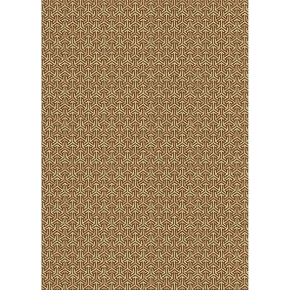 Ahgly Company Indoor Rectangle Patterned Cantaloupe Orange Area Rugs, 2' x 4'