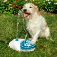 thumbnail image 2 of Vibrant Life Pet Water Pedal, 2 of 5
