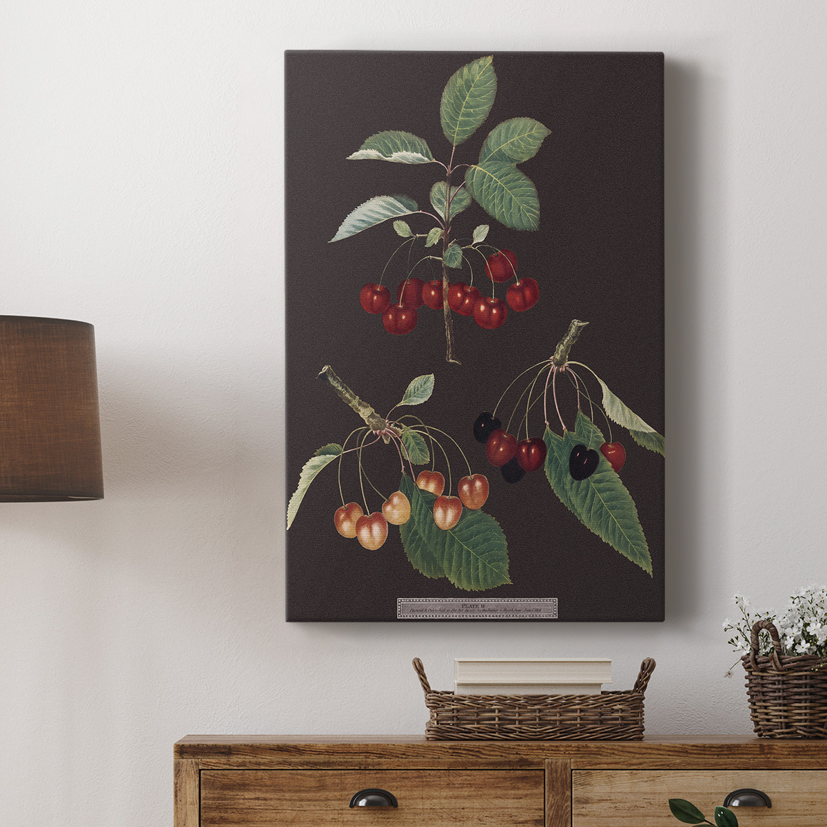Brookshaw Cherries Premium Gallery Wrapped Canvas - Ready to Hang