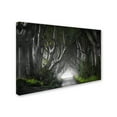 thumbnail image 2 of Trademark Fine Art 'Dark Hedges' Canvas Art by Nicola Molteni, 2 of 3