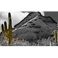 thumbnail image 2 of Simons 18x12 White Modern Wood Framed Museum Art Print Titled - Desert View, 2 of 4