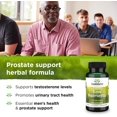 Swanson Saw Palmetto Herbal Supplement Promoting Male Prostate Health