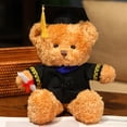thumbnail image 4 of ​14in PhD Graduation Bear - Pink Faux Velvet Plush w/ Embroidered Regalia, Collectible Scholar Gift Set (Gown, Cap, Diploma, 6+ Safe)​​ Blue, 4 of 7