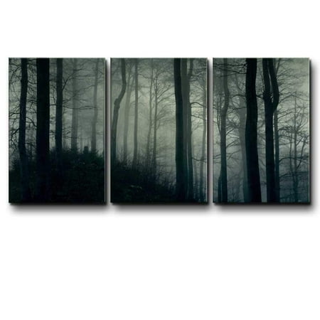 Muir Wood Forest - wall26 - Three Piece Canvas - Dark Tree Forest in a Foggy Night on 3 Panels - Canvas Art Home Decor - 24x36 inches