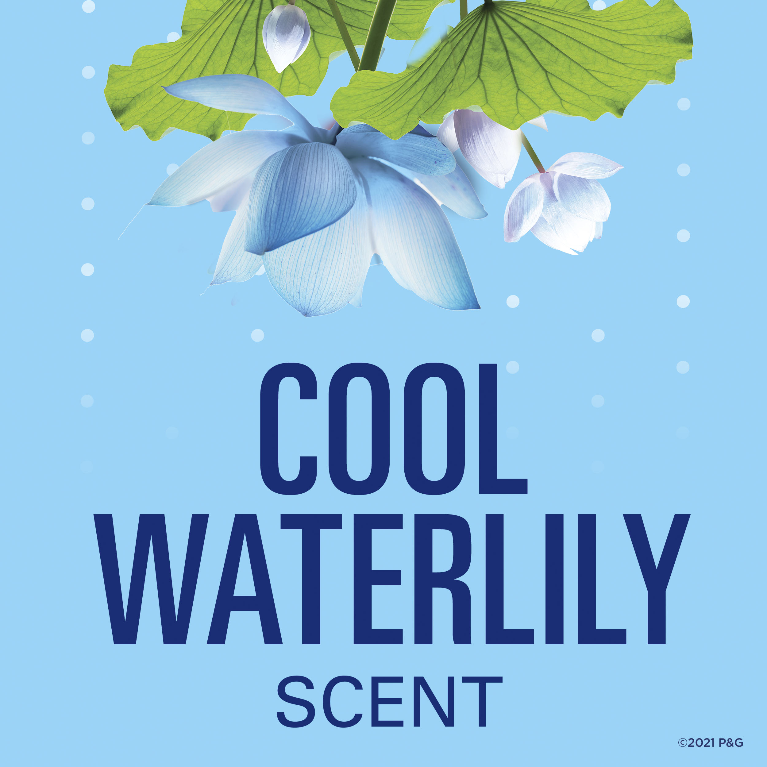 Secret Invisible Solid Antiperspirant Deodorant, Waterlily Scent, 2.6 oz - image 4 of 11