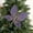 Purple261, variant on Iumwxz Blue Christmas Butterflies Decoration with Sequin Clip for Tree Wall and Door 27x20 cm Cloth Ornament for Indoor Holiday Scene Layout