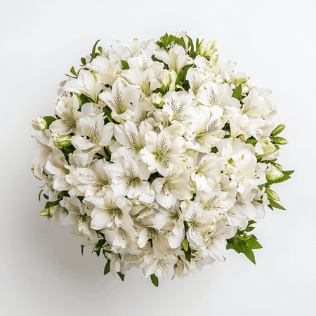 60 Stems of White Select Alstroemerias- Beautiful Fresh Cut Flowers- Express Delivery 60 Stems of White Select Alstroemerias- Beautiful Fresh Cut Flowers- Express Delivery