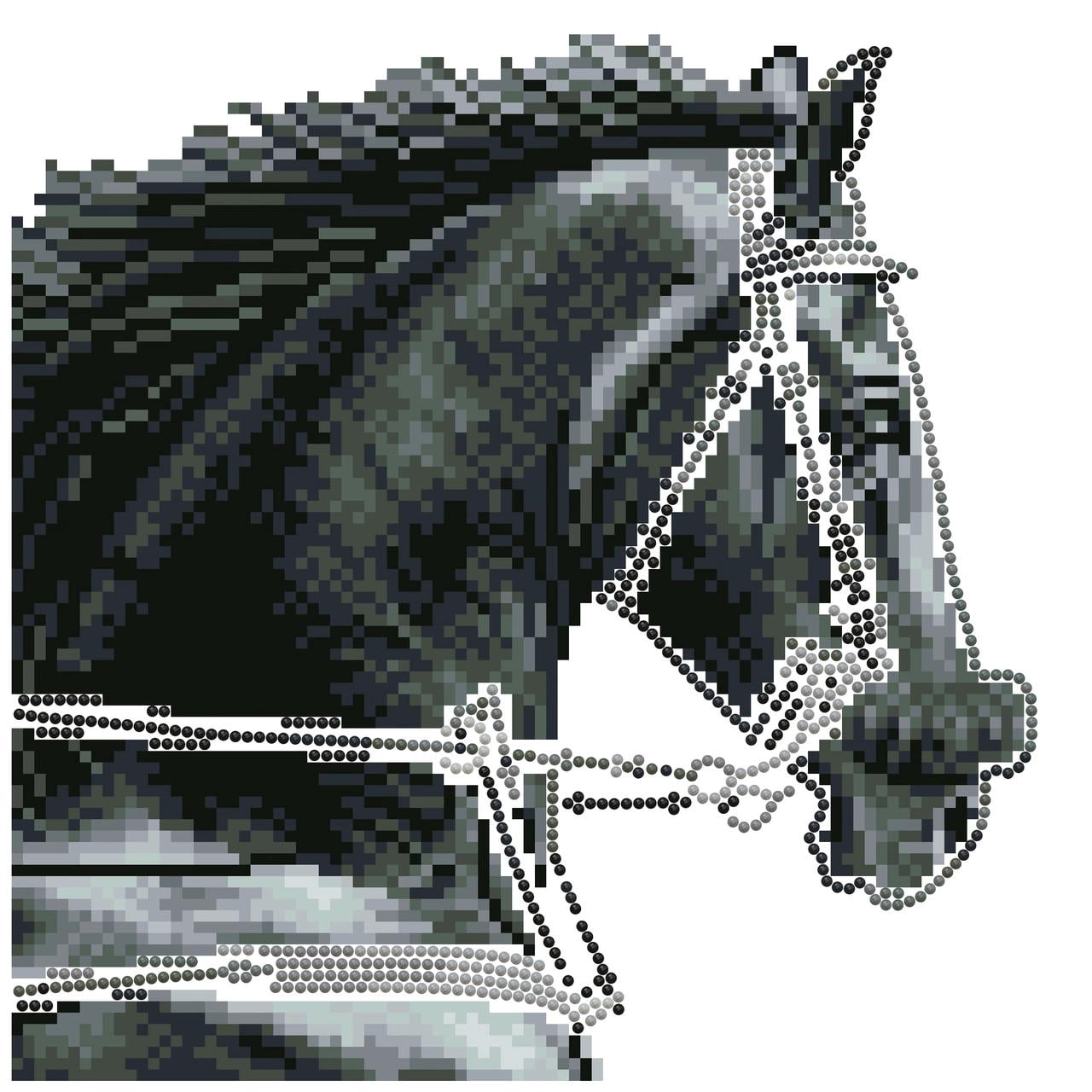 DIAMOND DOTZ® Majesty Special Edition Diamond Painting Kit