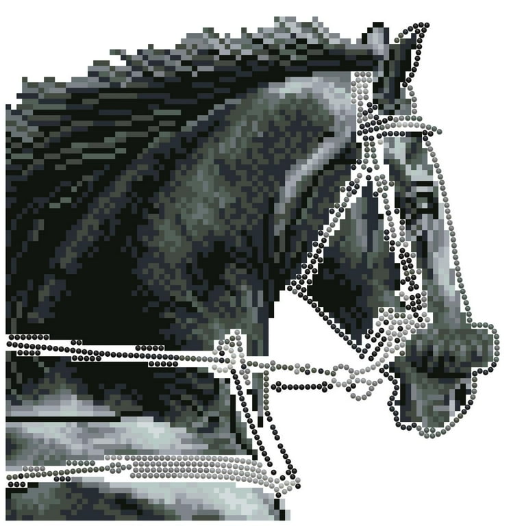 DIAMOND DOTZ® Majesty Special Edition Diamond Painting Kit