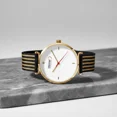 thumbnail image 4 of Reloj Para Mujer Steiner Minimalista 40 mm Correa de Malla Duo-Tono Dorado, 4 of 4