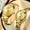 Gold 5563, variant on OLEVS Valentines Couple Pair Quartz Watches Luminous Calendar Date Window 3ATM Waterproof, Casual Stainless Steel His and Hers Wristwatch for Men Women Lovers Wedding Romantic Gifts Set of 2