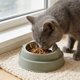 thumbnail image 5 of Elevated Pet Bowl Cats Face Feeder • Stainless Steel Raised Dish • 15° Tilt Neck Protection • Non-Slip Anti-Spill Base • Small Medium Dogs Cats Blue Green, 5 of 6
