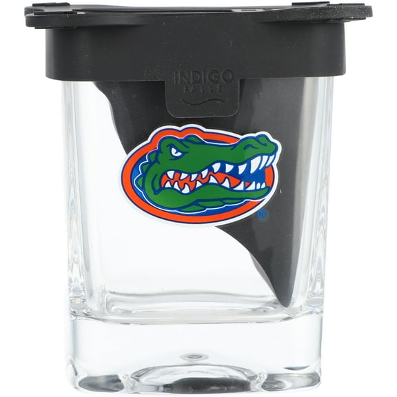 Florida Gators 10oz. Ice Wedge Glass
