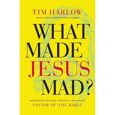 What Made Jesus Mad? : Rediscover the Blunt, Sarcastic, Passionate Savior of the (The Best Blunt Wraps)