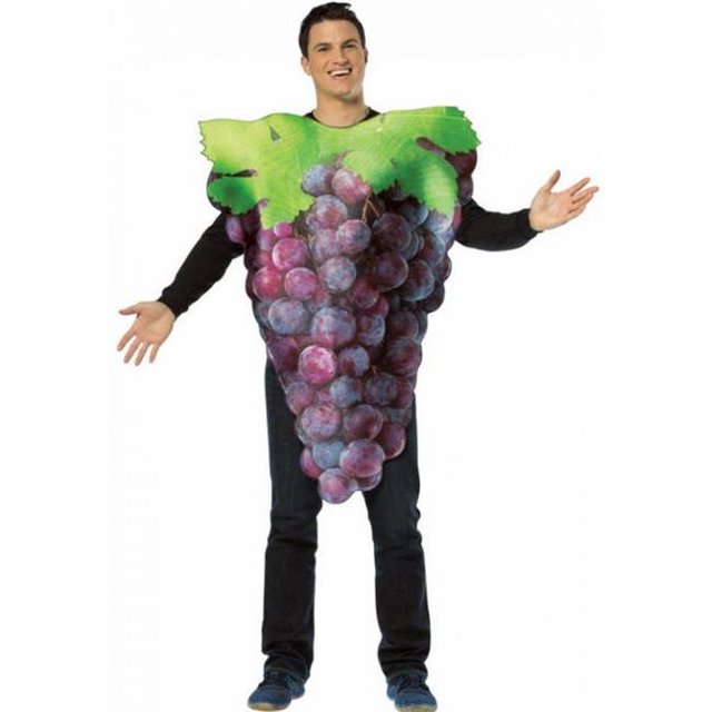Occasions GC6832 Costumes pour Toutes Obtenez Vrai Bouquet de Raisin Violet