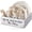 White, variant on Rustic White Plate and Utensil Caddy, 6-Compartment Paper Plate and Cutlery Holder with Handles, Kitchen and Party Organizer for BBQs, Picnics, and Gatherings