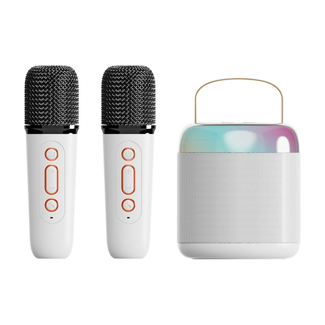 Birdeem Portable Home Bluetooth Speaker, Wireless Karaoke Sound Microphone, Outdoor Singing, Small Home Ktv