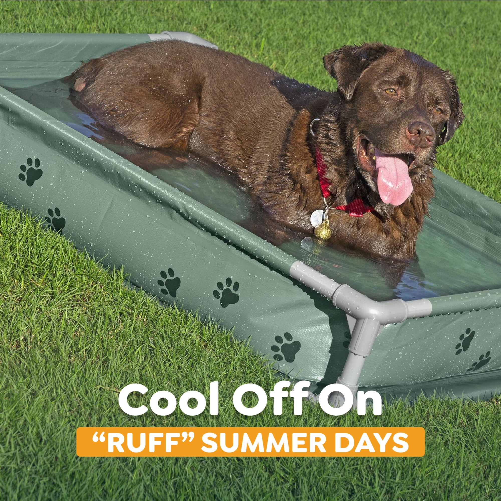 H2OGO! Pet Play Pool & Elevated Bed, Fetchin' Fun Splash Pool & Raised Mesh Bed for Dogs