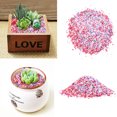 thumbnail image 4 of 50G Juicy Seeds Ass Seed Flower Living Stone Bonsai Natural Colorful Stone Sand, 4 of 6