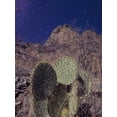 thumbnail image 2 of Larson, Nathan 15x18 Black Ornate Wood Framed with Double Matting Museum Art Print Titled - Prickly Stars, 2 of 4