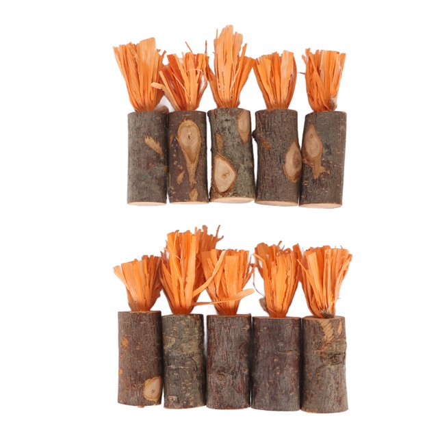10 palitos para masticar conejos, comestibles, seguros, previenen piedras urinarias, cobayas decorativas, juguetes para masticar para hámster, conejito, tipo cáscara de maíz naranja