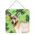 thumbnail image 1 of "Treasures Thai Ridgeback Metal Print, 6h x 6w, Día de San Patricio" Caroline's Treasures BB9854DS66, 1 of 1