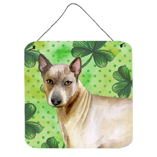 "Treasures Thai Ridgeback Metal Print, 6h x 6w, Día de San Patricio" Caroline's Treasures BB9854DS66
