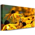 thumbnail image 1 of Arena "Big Brother" Canvas Print, 1 of 5